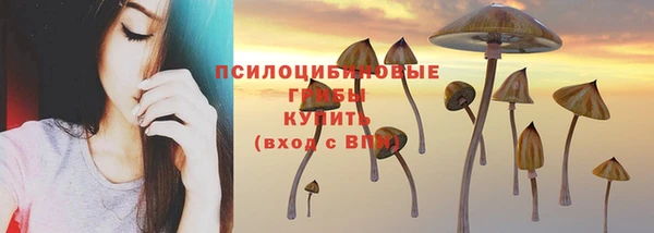 PSILOCYBIN Сафоново