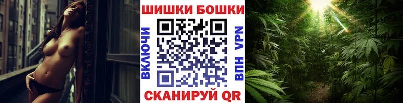 Шишки марихуана план  магазин продажи наркотиков  Вышний Волочёк 